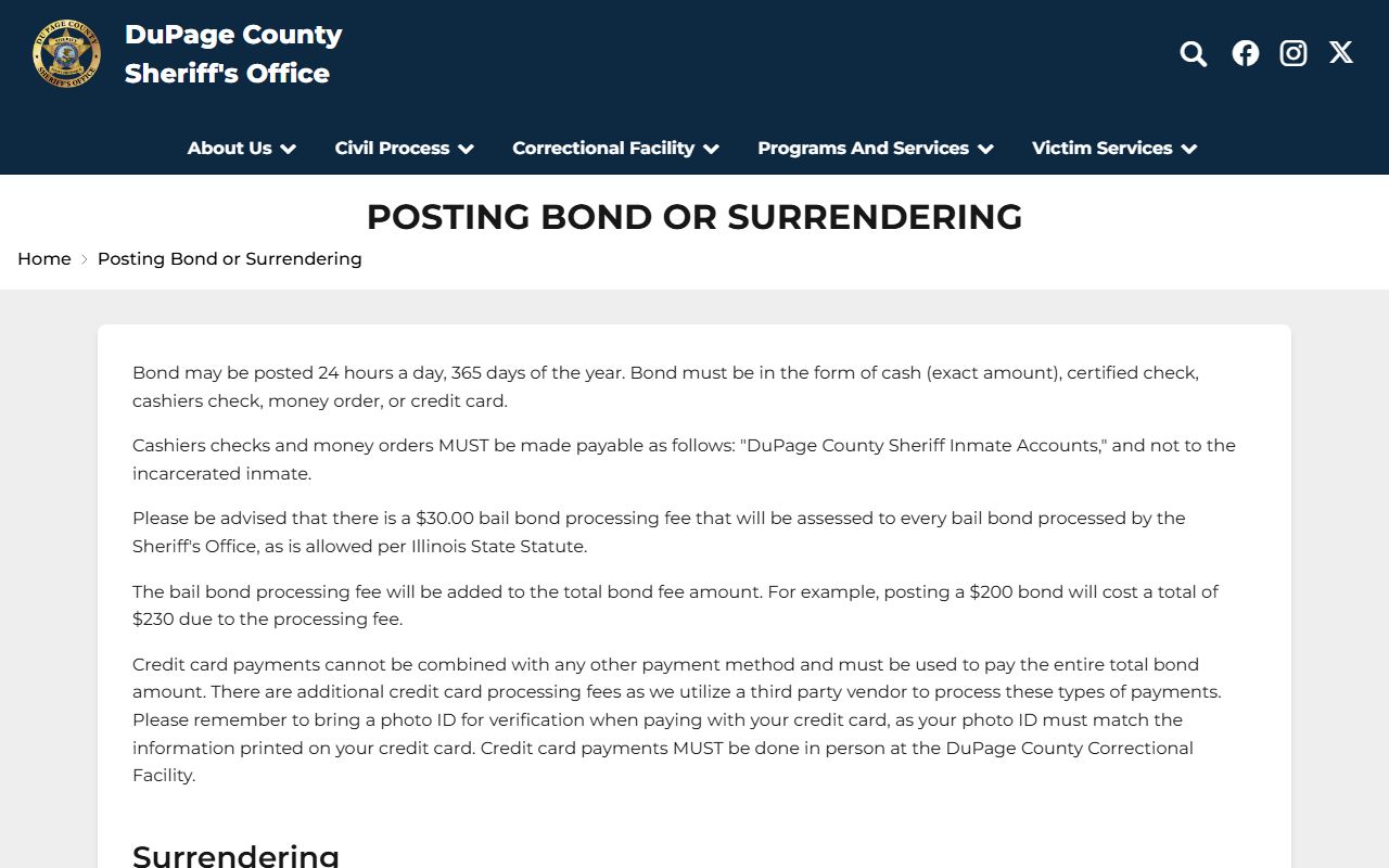 DuPage County posting bond and surrender information for court records